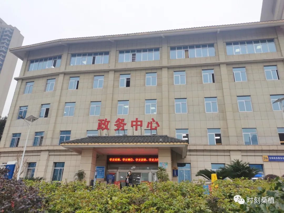 桑植縣政務服務中心