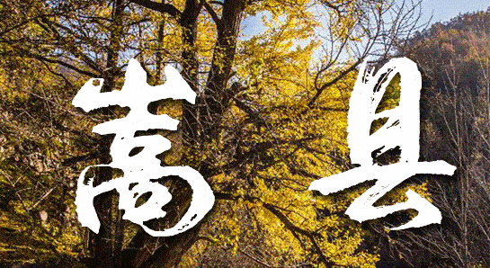 嵩縣閆莊鎮(zhèn)人民政府