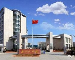 岳陽縣政務服務中心