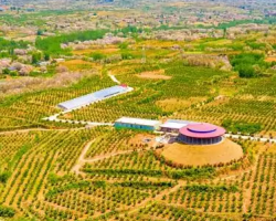 新安縣倉頭鎮(zhèn)人民政府