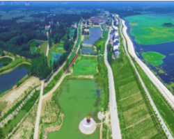 民權(quán)縣野崗鎮(zhèn)人民政府