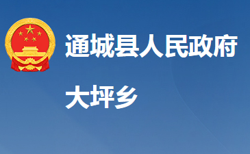 通城縣大坪鄉(xiāng)人民政府
