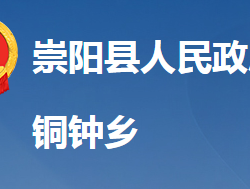 崇陽(yáng)縣銅鐘鄉(xiāng)人民政府政務(wù)服務(wù)網(wǎng)