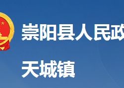 崇陽(yáng)縣天城鎮(zhèn)人民政府政務(wù)服務(wù)網(wǎng)