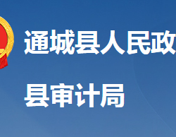 通城縣審計(jì)局