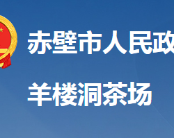 赤壁市羊樓洞茶場(chǎng)