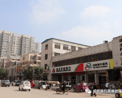 成武縣政務服務中心