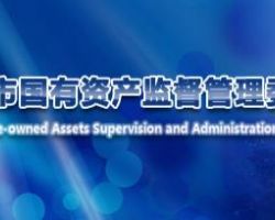 佛山市人民政府國有資產(chǎn)監(jiān)