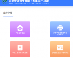 邢臺市計(jì)劃生育網(wǎng)上辦事大廳入口
