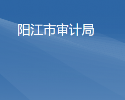陽江市審計(jì)局