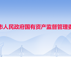 中山市人民政府國有資產(chǎn)監(jiān)督管理委員會