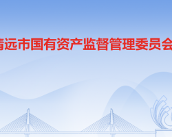 清遠市人民政府國有資產(chǎn)監(jiān)