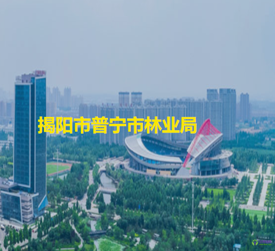 揭陽市普寧市林業(yè)局