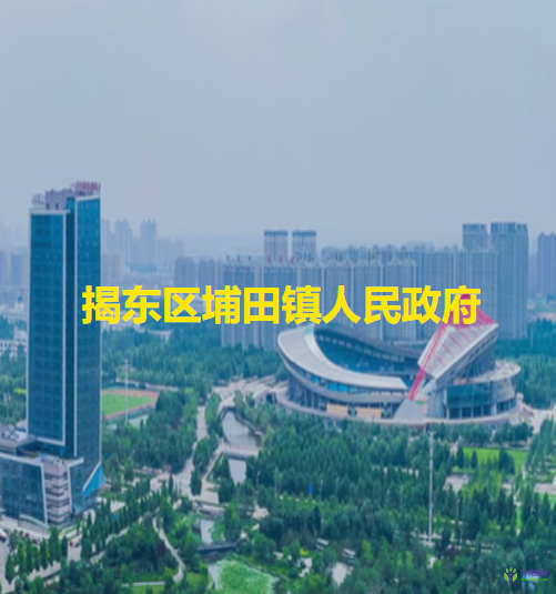 揭陽市揭東區(qū)埔田鎮(zhèn)人民政府