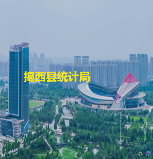 揭西縣統(tǒng)計局