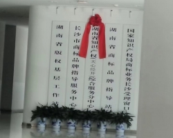 長(zhǎng)沙天心文化（廣告）產(chǎn)業(yè)