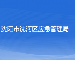 沈陽市沈河區(qū)應(yīng)急管理局
