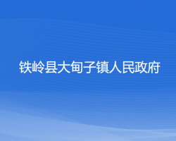 鐵嶺縣大甸子鎮(zhèn)人民政府