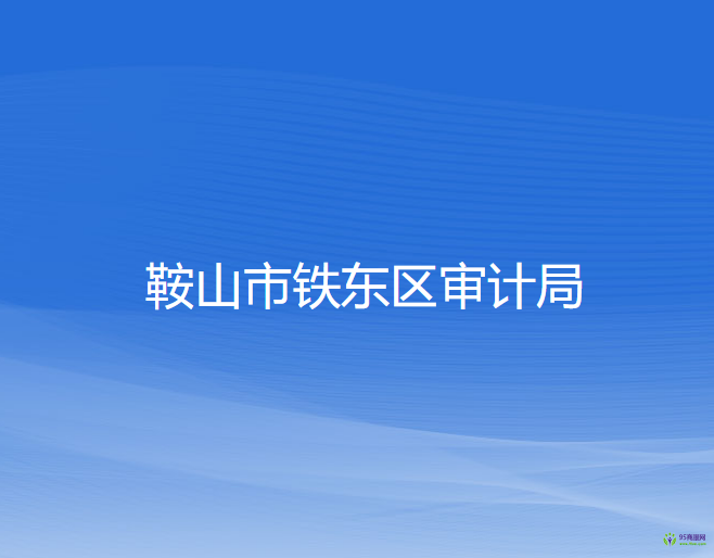 鞍山市鐵東區(qū)審計(jì)局