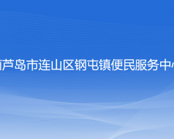 葫蘆島市連山區(qū)鋼屯鎮(zhèn)便民服務(wù)中心