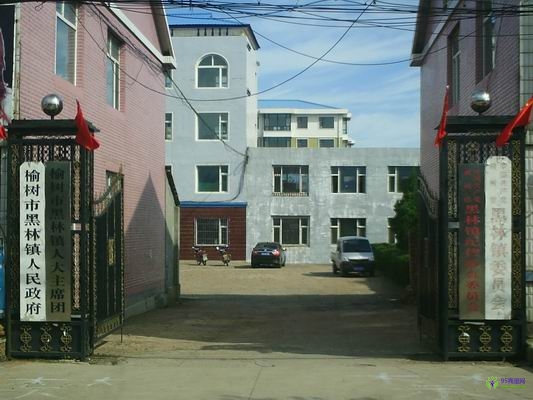 榆樹(shù)市黑林鎮(zhèn)人民政府