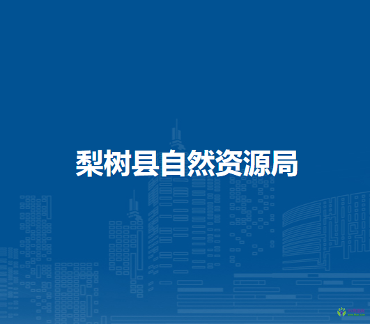 梨樹縣自然資源局
