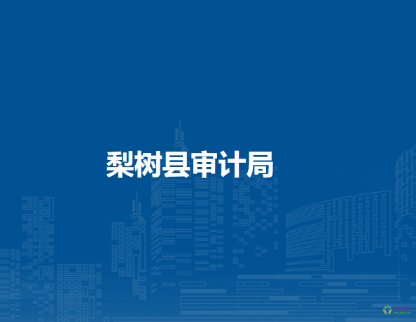 梨樹(shù)縣審計(jì)局