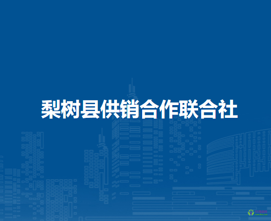 梨樹(shù)縣供銷(xiāo)合作聯(lián)合社