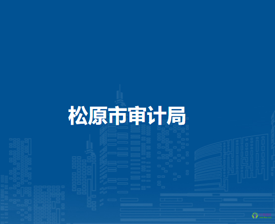 松原市審計(jì)局