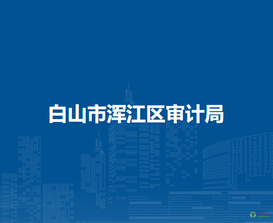 白山市渾江區(qū)審計(jì)局