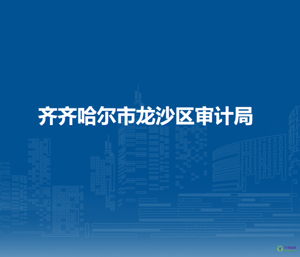 齊齊哈爾市龍沙區(qū)審計(jì)局