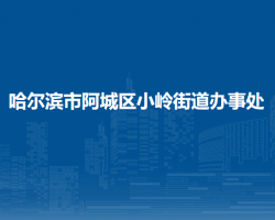 哈爾濱市阿城區(qū)小嶺街道辦事處