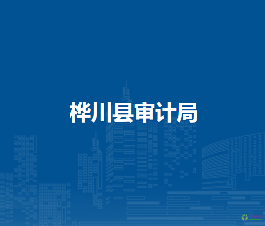 樺川縣審計(jì)局