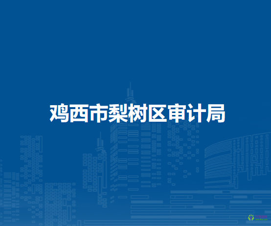 雞西市梨樹區(qū)審計局