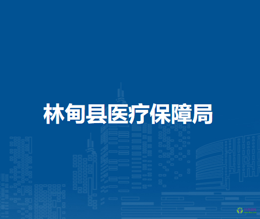 林甸縣醫(yī)療保障局
