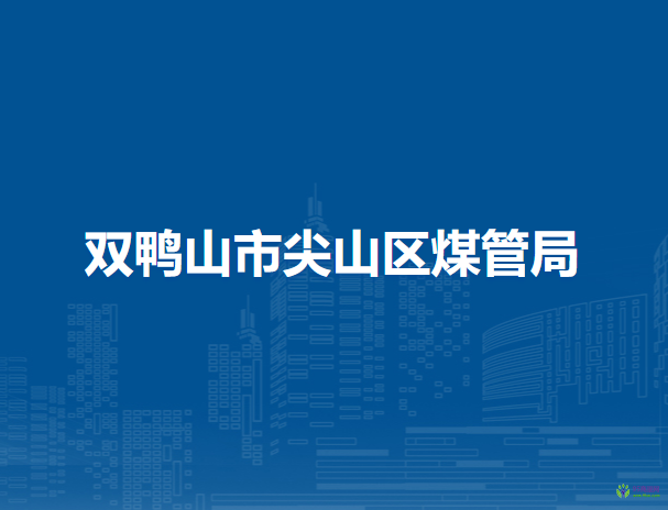 雙鴨山市尖山區(qū)煤炭生產(chǎn)安全管理局