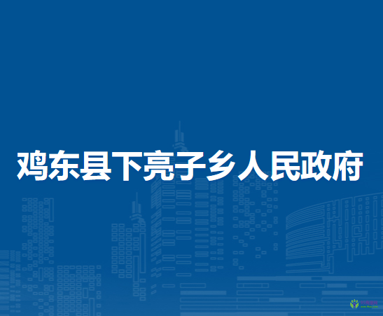 雞東縣下亮子鄉(xiāng)人民政府