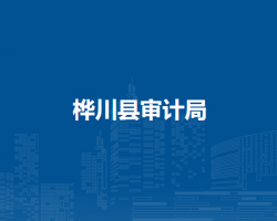 樺川縣審計(jì)局