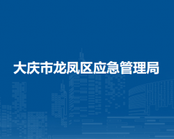 大慶市龍鳳區(qū)應急管理局