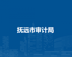 撫遠(yuǎn)市審計(jì)局