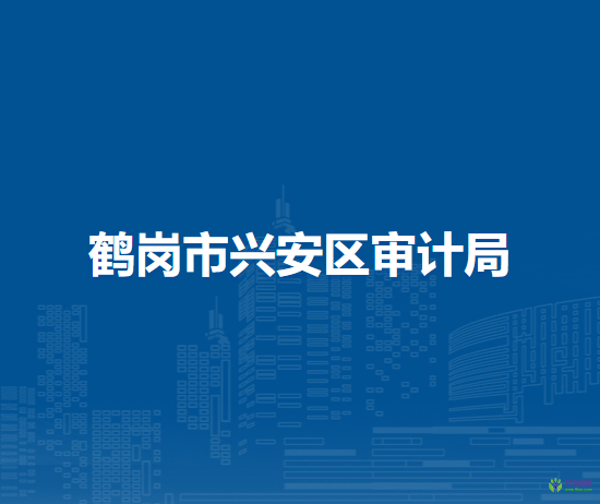 鶴崗市興安區(qū)審計(jì)局