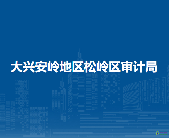 大興安嶺地區(qū)松嶺區(qū)審計(jì)局