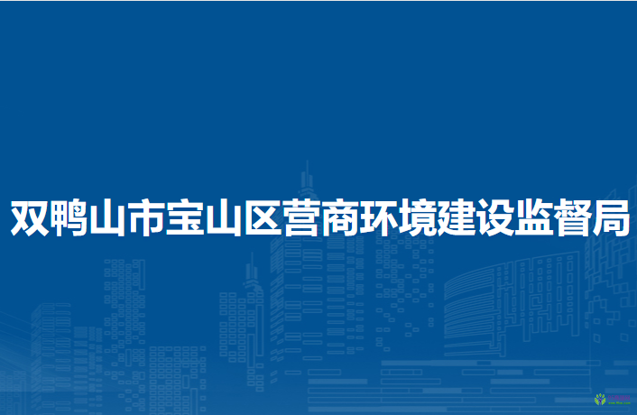雙鴨山市寶山區(qū)營商環(huán)境建設監(jiān)督局