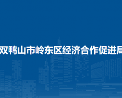 雙鴨山市嶺東區(qū)經濟合作促