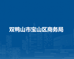 雙鴨山市寶山區(qū)商務局
