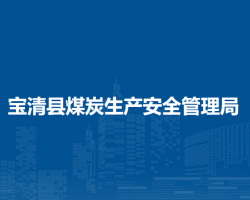 寶清縣煤炭生產安全管理局