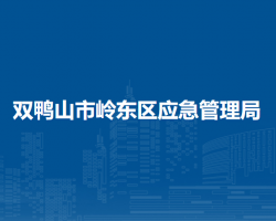 雙鴨山市嶺東區(qū)應急管理局