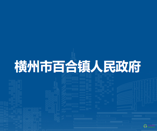 橫州市百合鎮(zhèn)人民政府