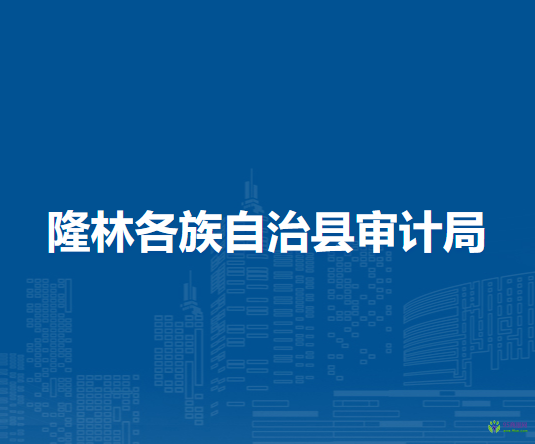 隆林各族自治縣審計(jì)局