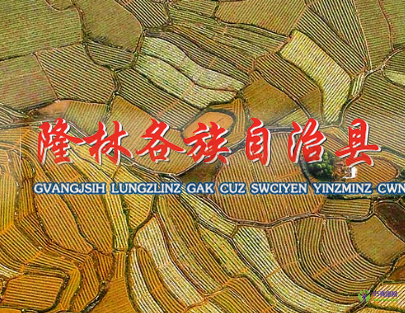 隆林縣人民政府